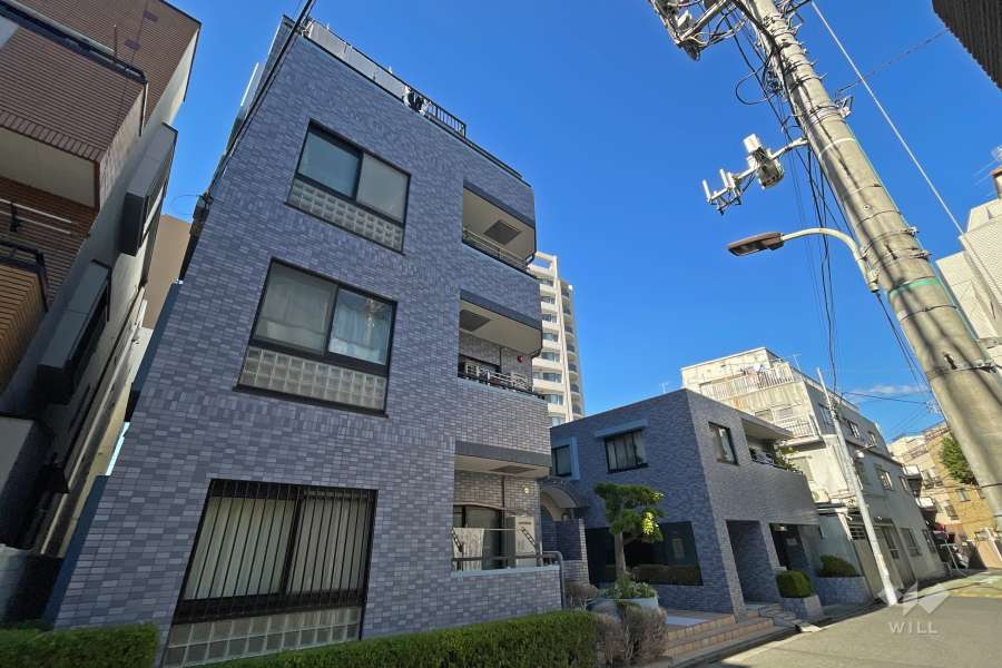 セザール白金の外観（南東側から）