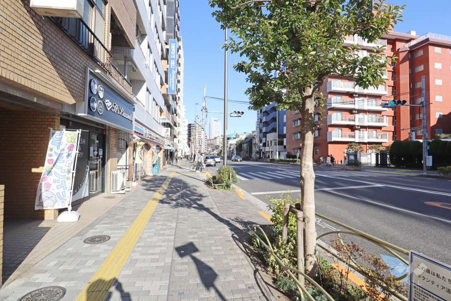 敷地南東側の前面道路