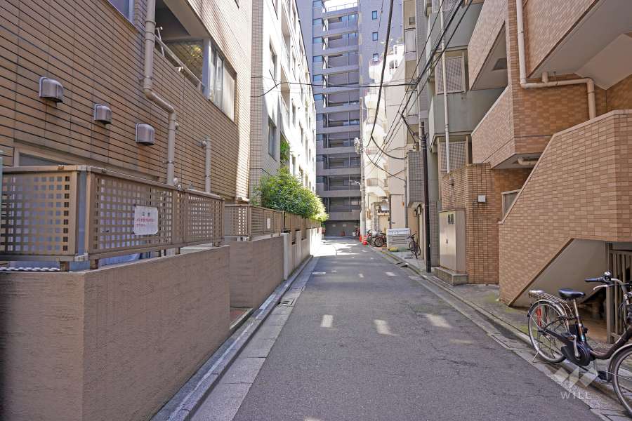 敷地南側の前面道路（北側から）