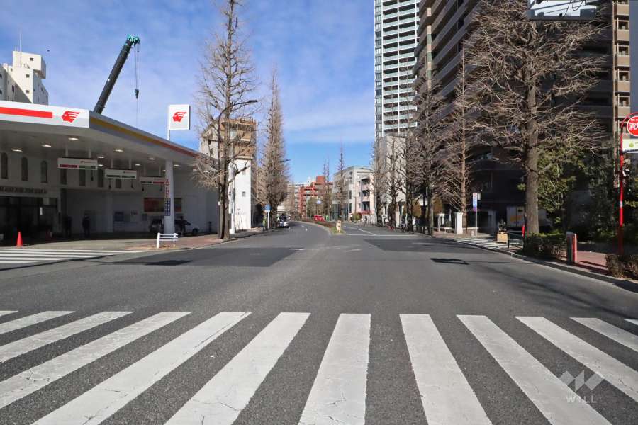 敷地西側の前面道路(南側から)