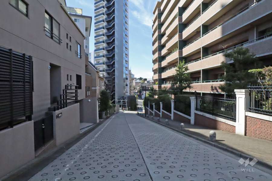 敷地南東側の前面道路(北東側から)