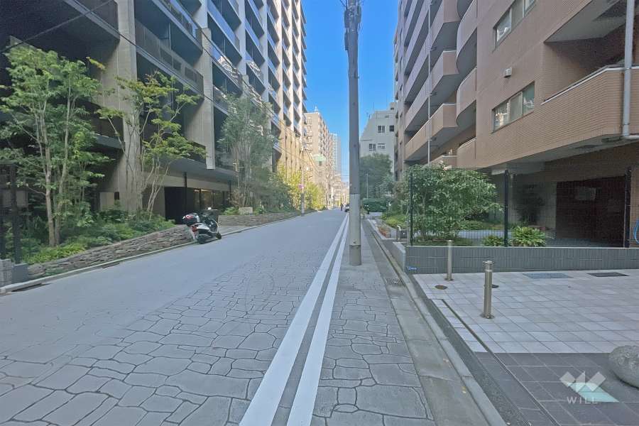 敷地北側の前面道路（西側から）