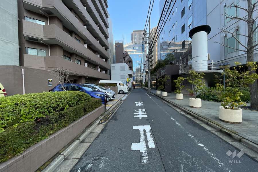 敷地東側の前面道路（南側から）