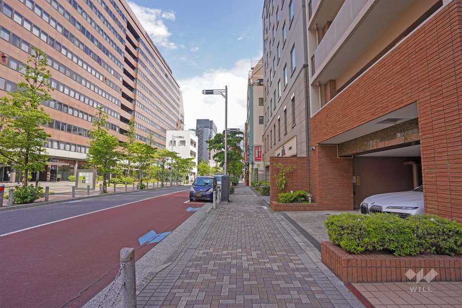 敷地西側の前面道路（南側から）