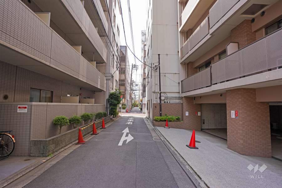 敷地東側の前面道路（北側から）