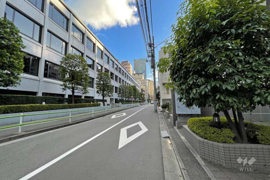 敷地の南東側前面道路（北東側から）