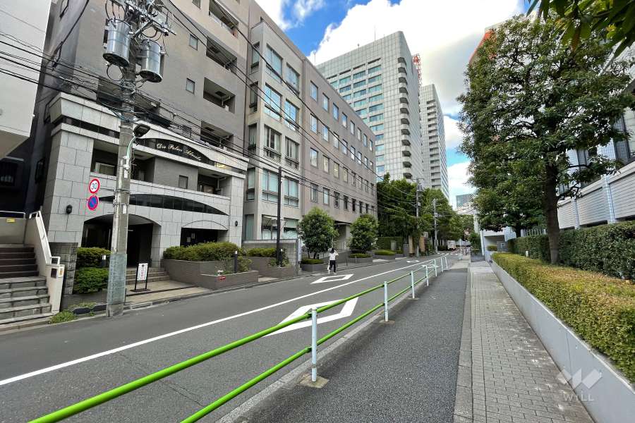 敷地の南東側前面道路（南西側から）