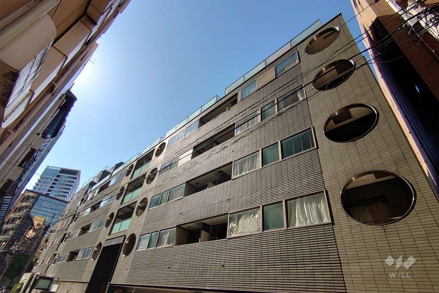 菱和パレス西麻布の外観（北東側から）