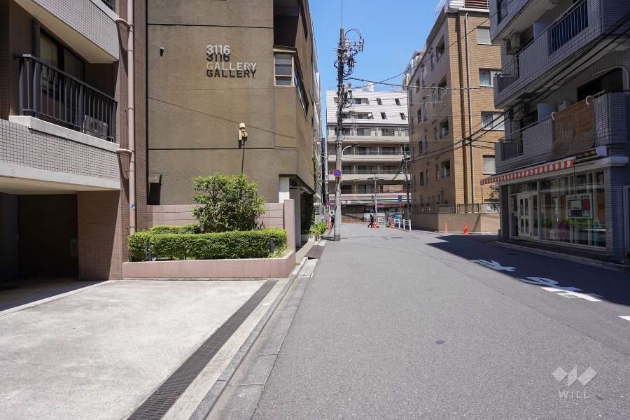 敷地東側の前面道路（南側から）