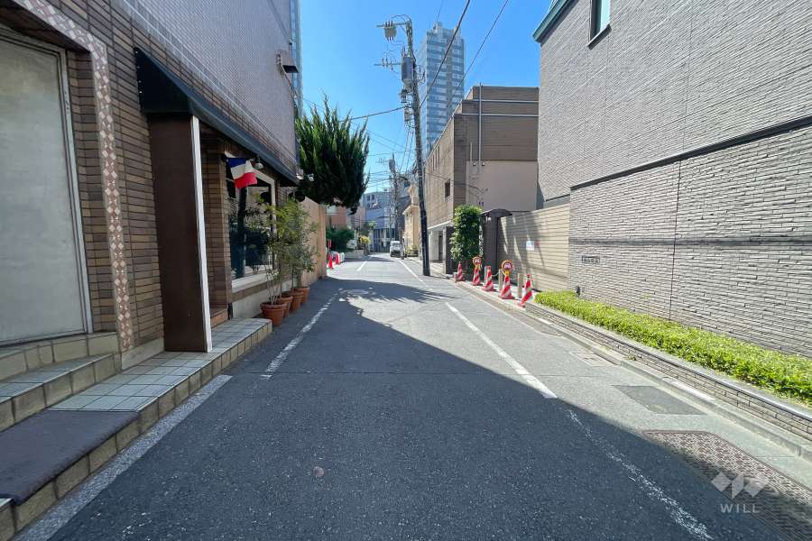 敷地南東側の前面道路（北西側から）