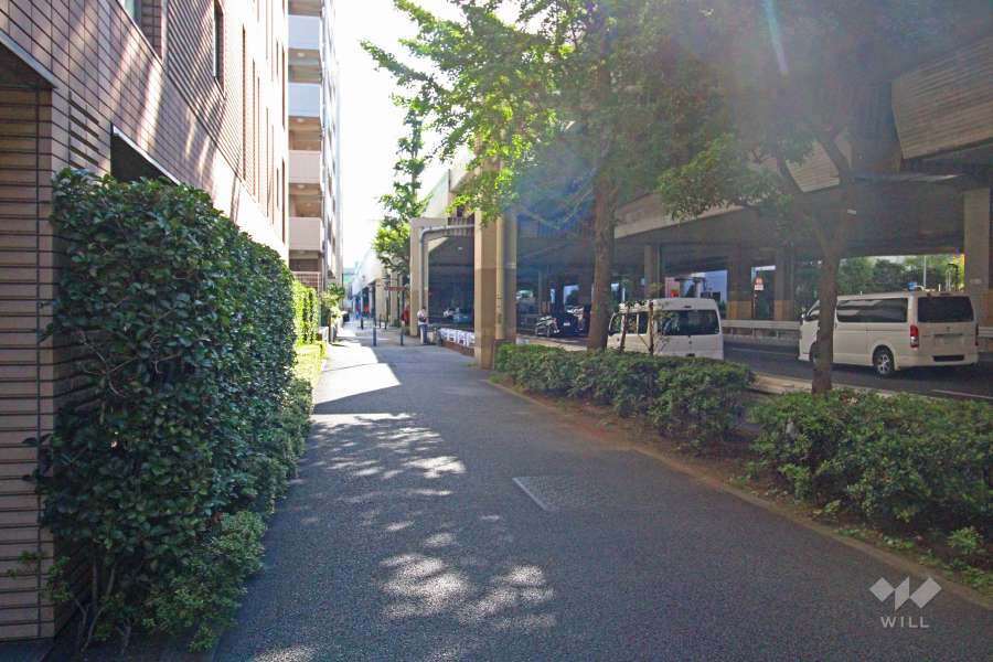 敷地東側の前面道路（南側から）