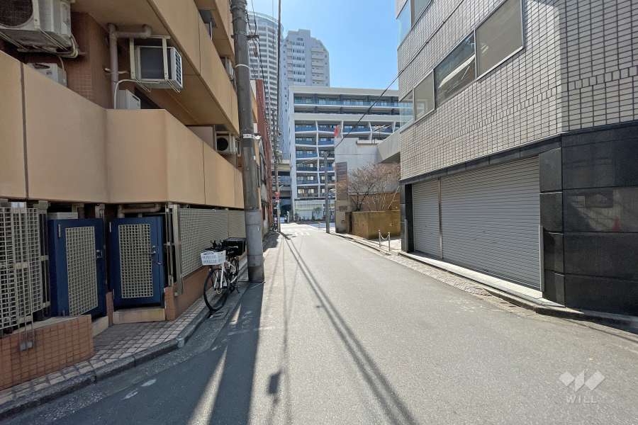 敷地西側の前面道路（北側から）