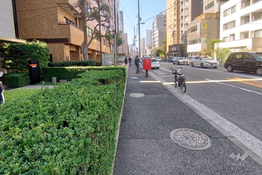 敷地北側の前面道路　