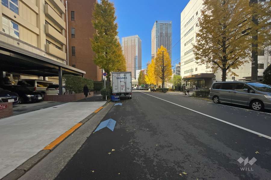 敷地北側の前面道路（東側から）