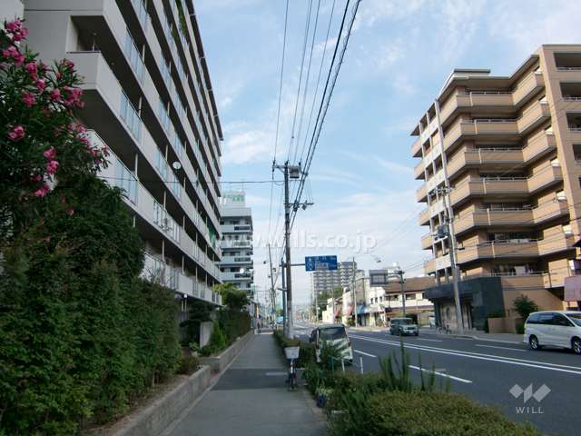 東側には大きな通りがあります