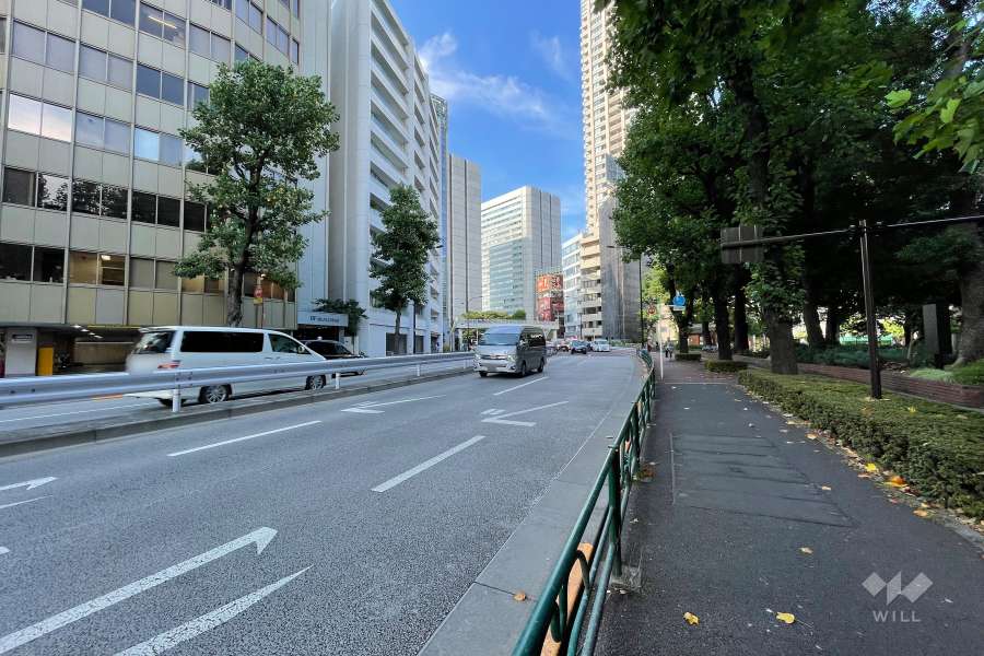 敷地の東側前面道路（南側から）