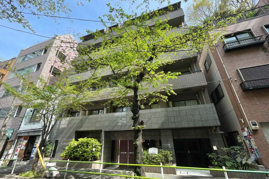 菱和パレス虎ノ門の外観（南側から）