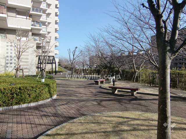 敷地内の広場