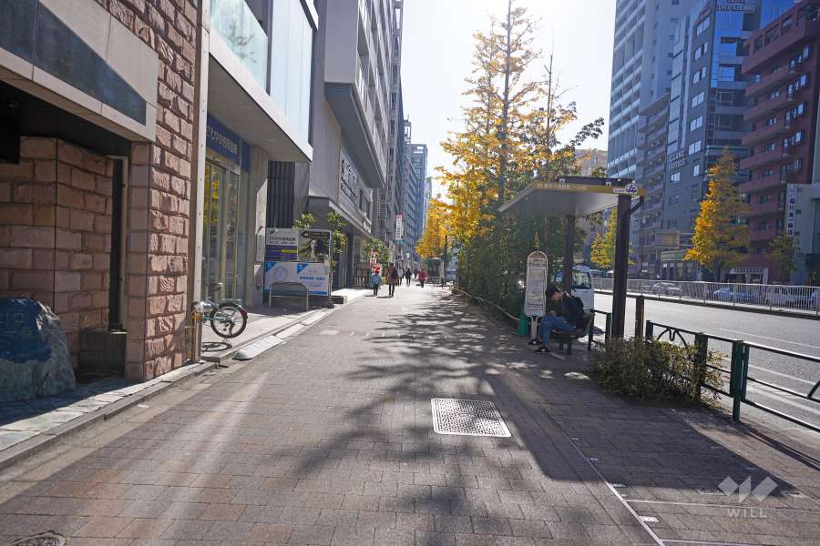 敷地西側の前面道路（北側から）