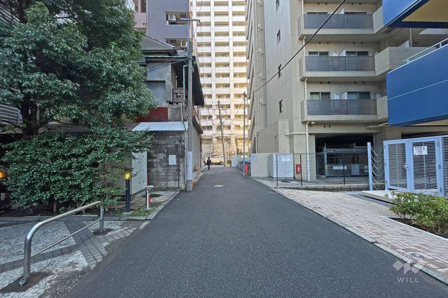 敷地南側の前面道路（西側から）