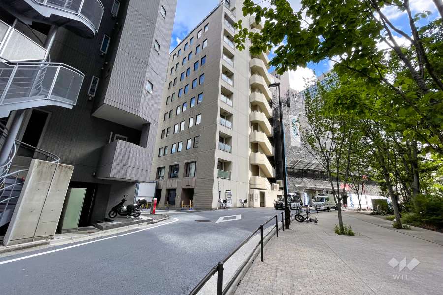 敷地西側の前面道路（北側から）