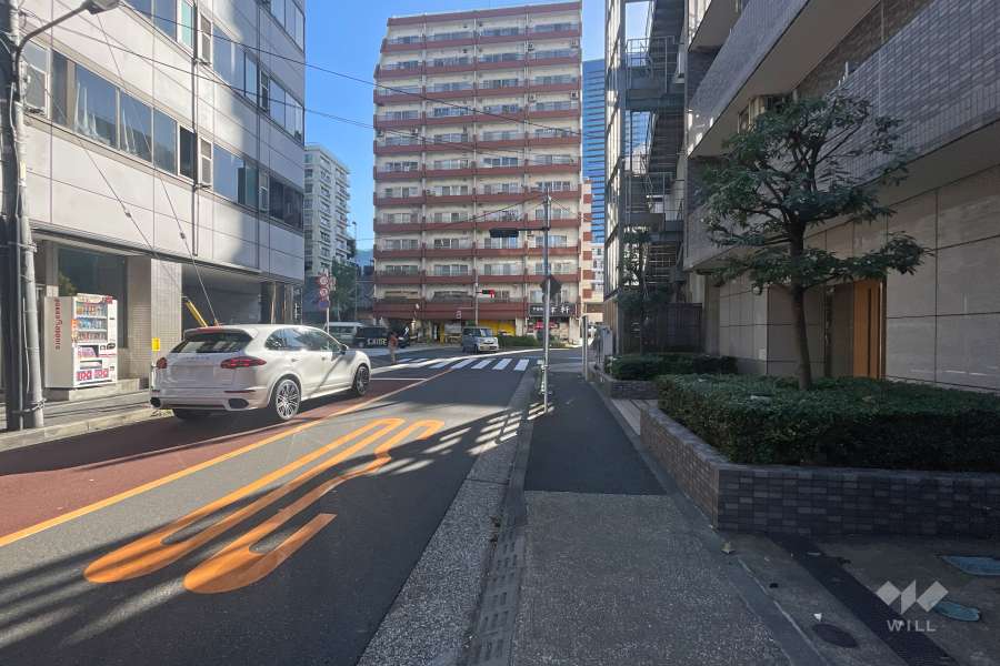 敷地北側の前面道路（西側から）