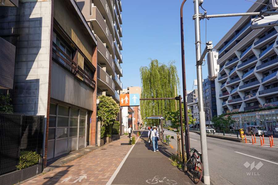 敷地南側の前面道路（西側から）