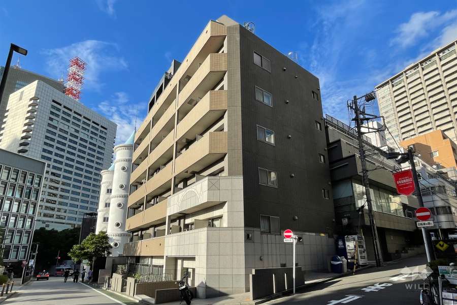 パレステュディオ赤坂の外観（南西側から）