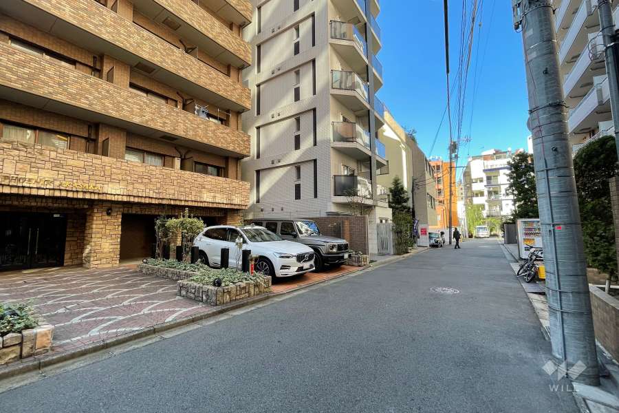 敷地の東側前面道路（南側から）