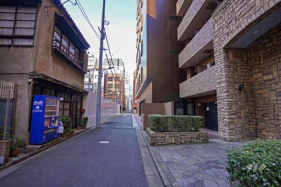 敷地西側の前面道路（南側から）