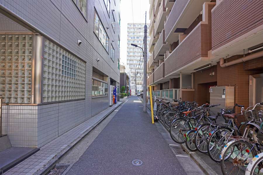 敷地北側の前面道路（西側から）