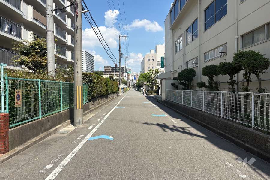 敷地東側の前面道路(南側から)