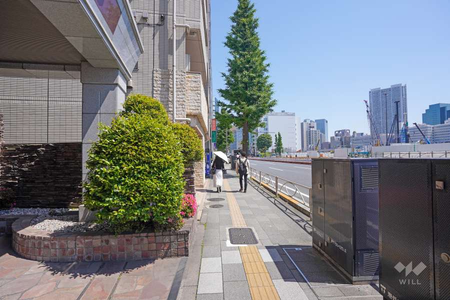 敷地東側の前面道路（南側から）
