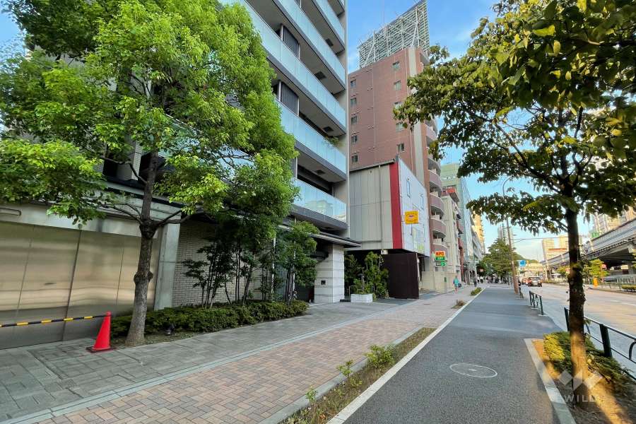 敷地の南側前面道路（西側から）