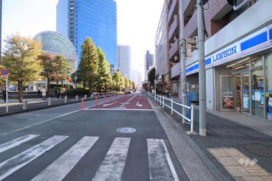 敷地東側の前面道路(北側から)