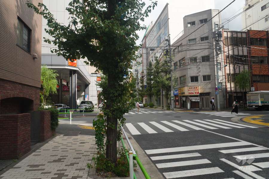 敷地南側の前面道路（西側から）