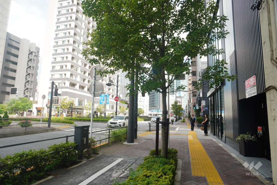 敷地南側の前面道路（東側から）