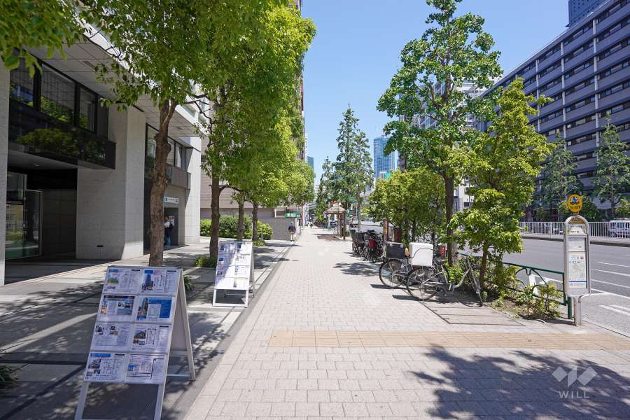 敷地東側の前面道路（南側から）