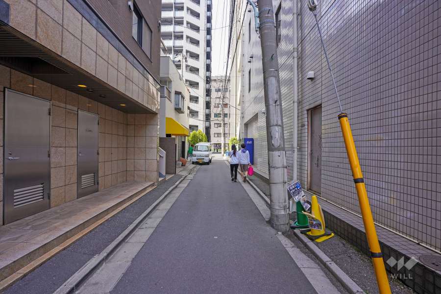 敷地東側の前面道路（南側から）