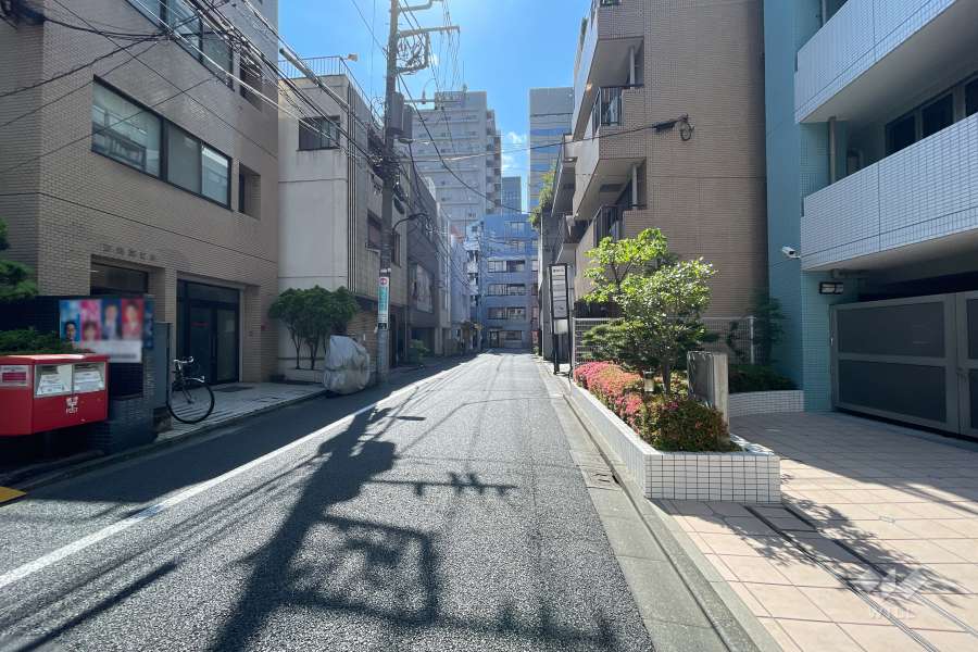 敷地の南側前面道路