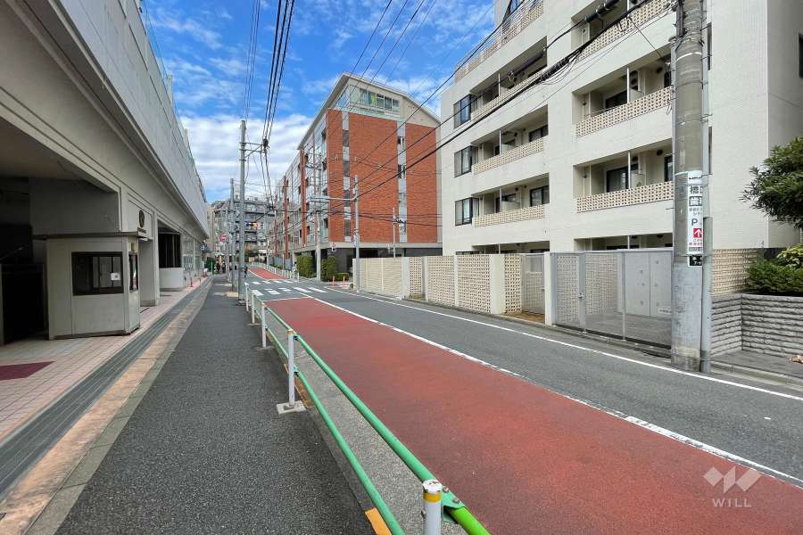 敷地の南西側前面道路（南東側から）