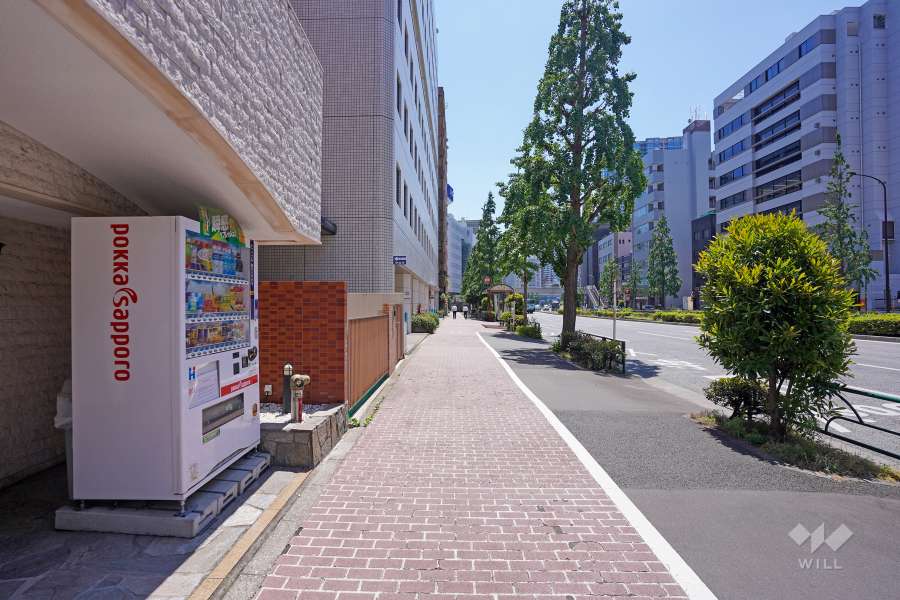 敷地西側の前面道路（北側から）
