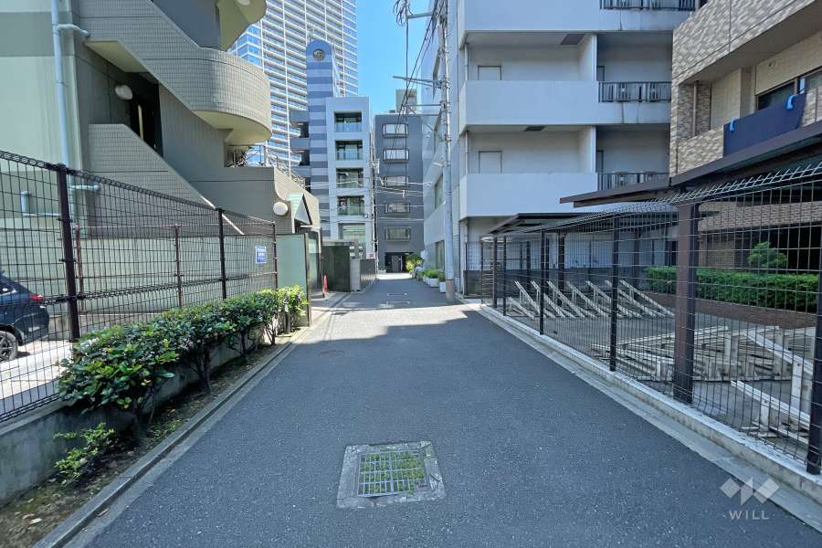 敷地東側の前面道路（北側から）