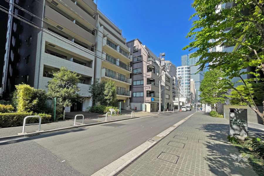 敷地の南東側前面道路（南西側から）