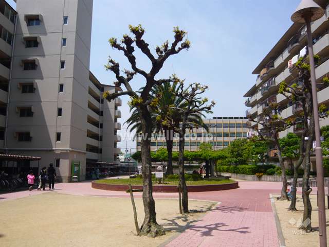 中庭