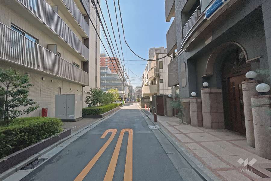 敷地南東側の前面道路（北東側から）