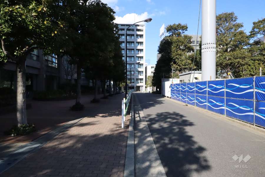 敷地東側の前面道路（南側から）