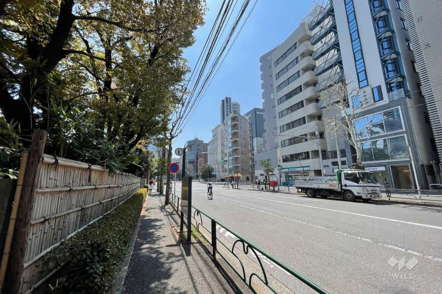 敷地西側の前面道路（北側から）