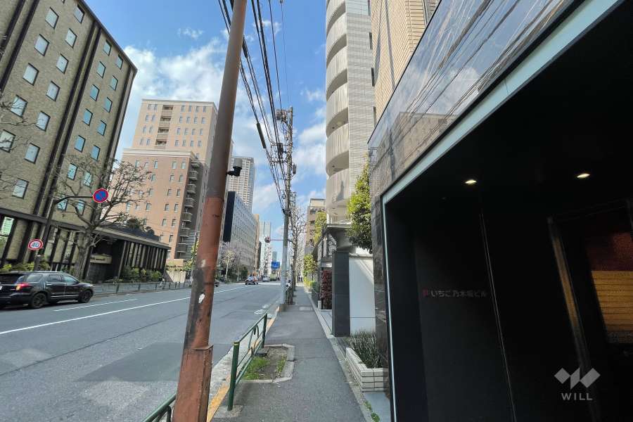 敷地の西側前面道路（南側から）