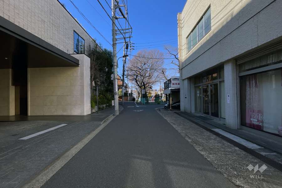 敷地の南側前面道路（西側から）